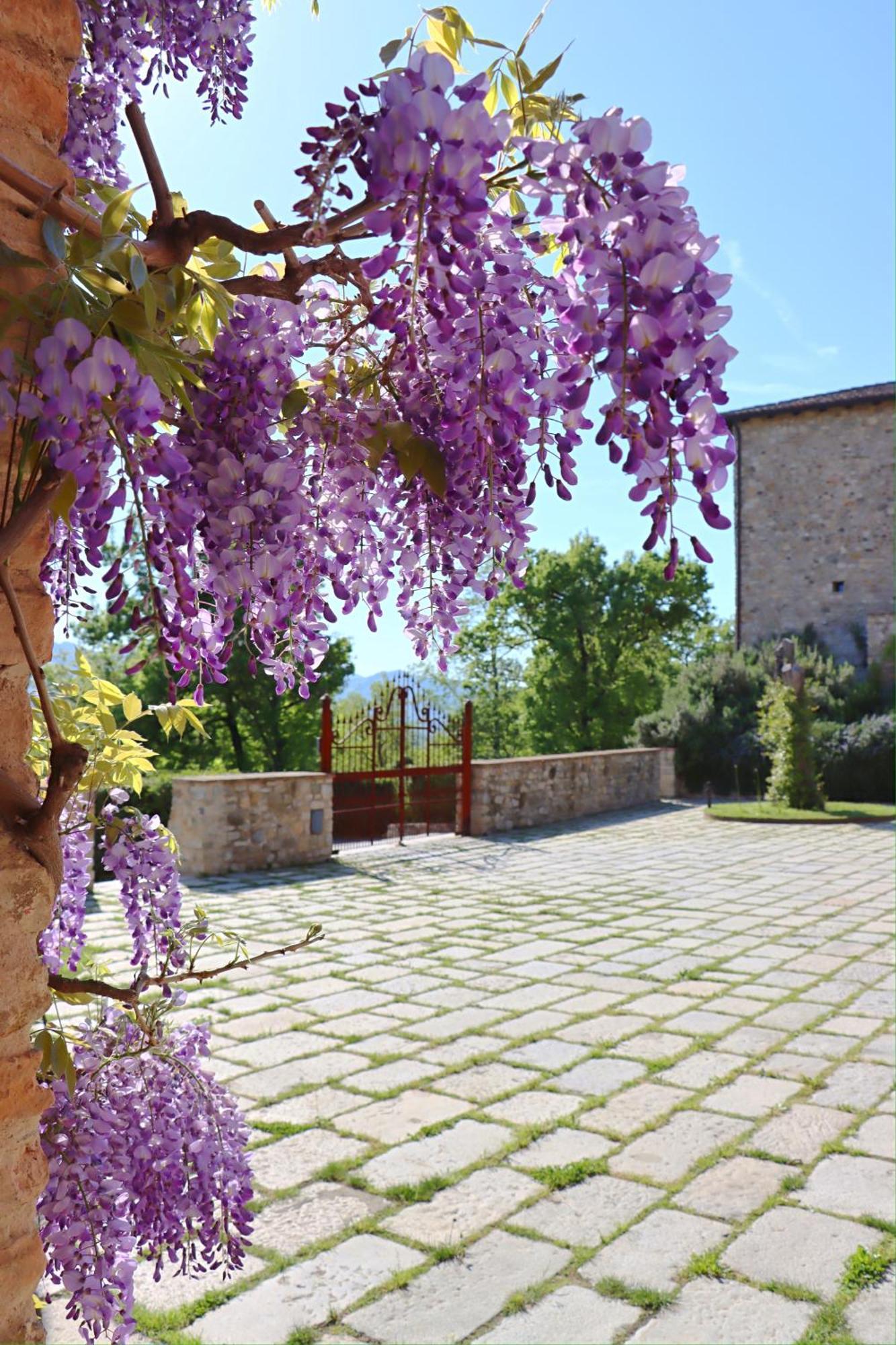 Castello Di Vianoヴィラ エクステリア 写真