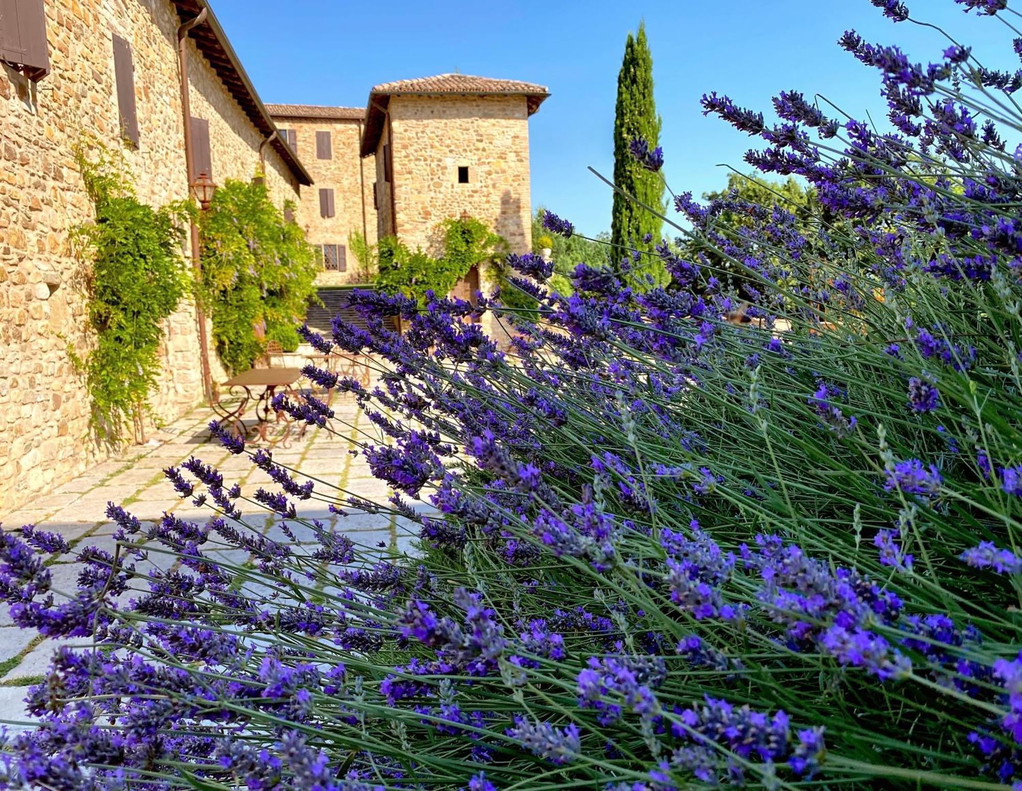 Castello Di Vianoヴィラ エクステリア 写真
